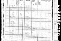1880-united-states-federal-census-for-rudolph-frank