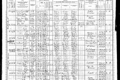 1900-united-states-federal-census-for-lucille-selig