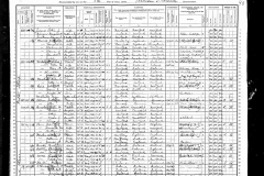 1900-united-states-federal-census-for-otto-stern
