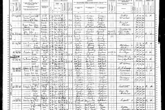 1900-united-states-federal-census-for-rosalind-selig
