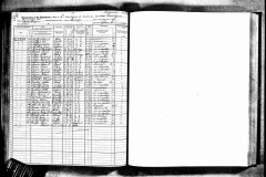 new-york-state-census-1915-for-rudolph-and-rae-frank