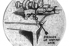 strands-of-womans-hair